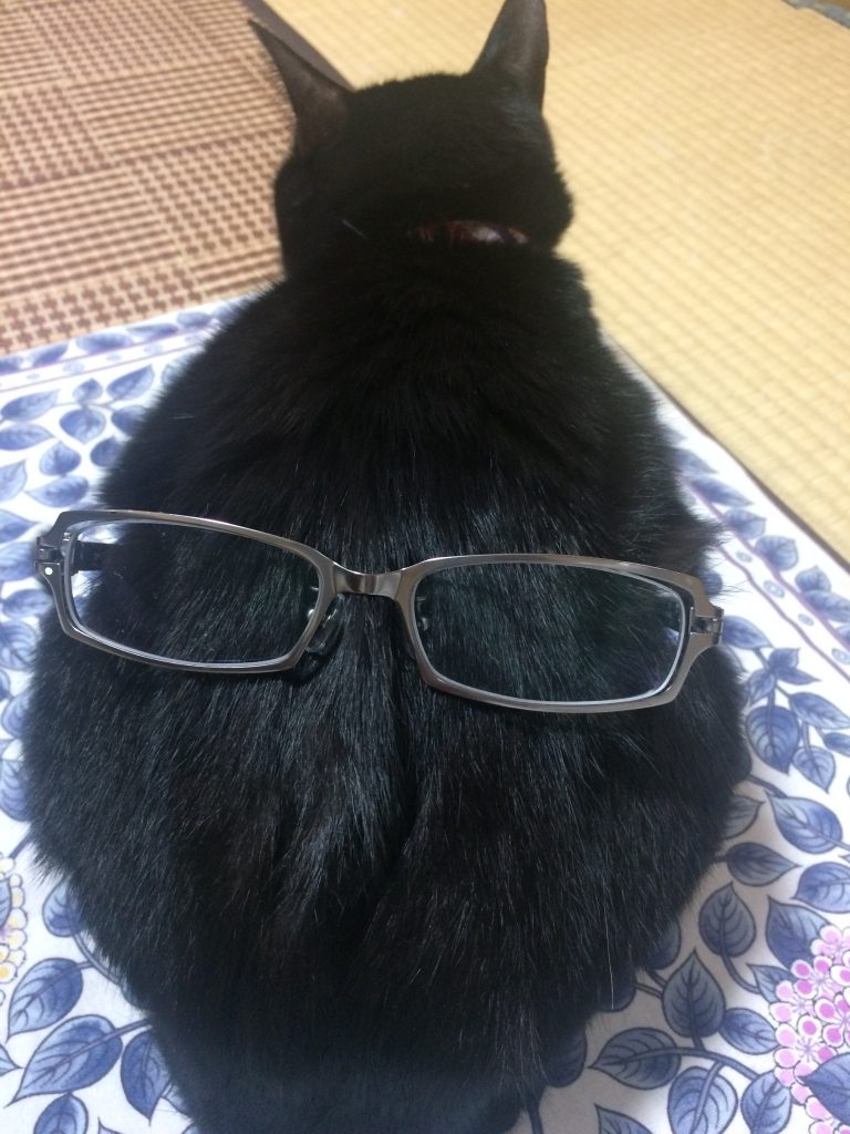 猫　眼鏡