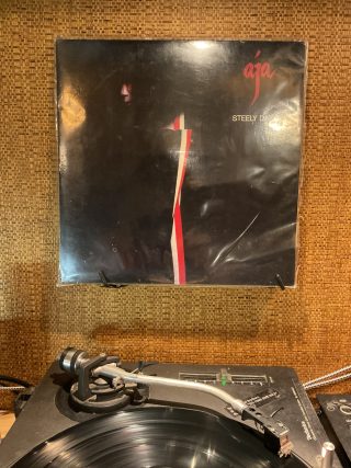 ステイリーダン